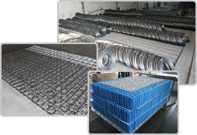 我(wo)們的優(yōu)勢